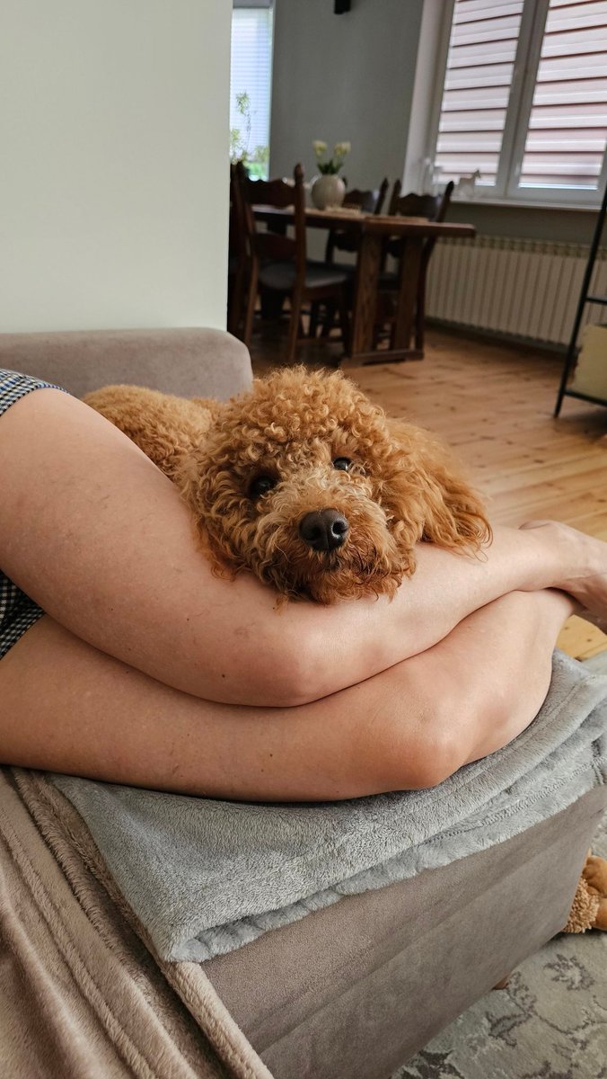 Boro z Gniewkowa tweet media