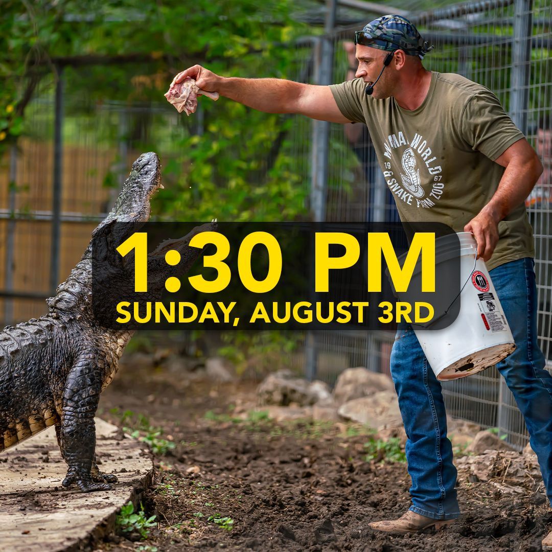 SnakeFarmZoo's tweet photo. 🐊 Quick Schedule Update!
This Sunday only, our Croc Show is moving to an earlier time — 1:30 PM!

Be sure to swing by early to catch all the jaw-dropping action! https://t.co/mtBrG136Pm