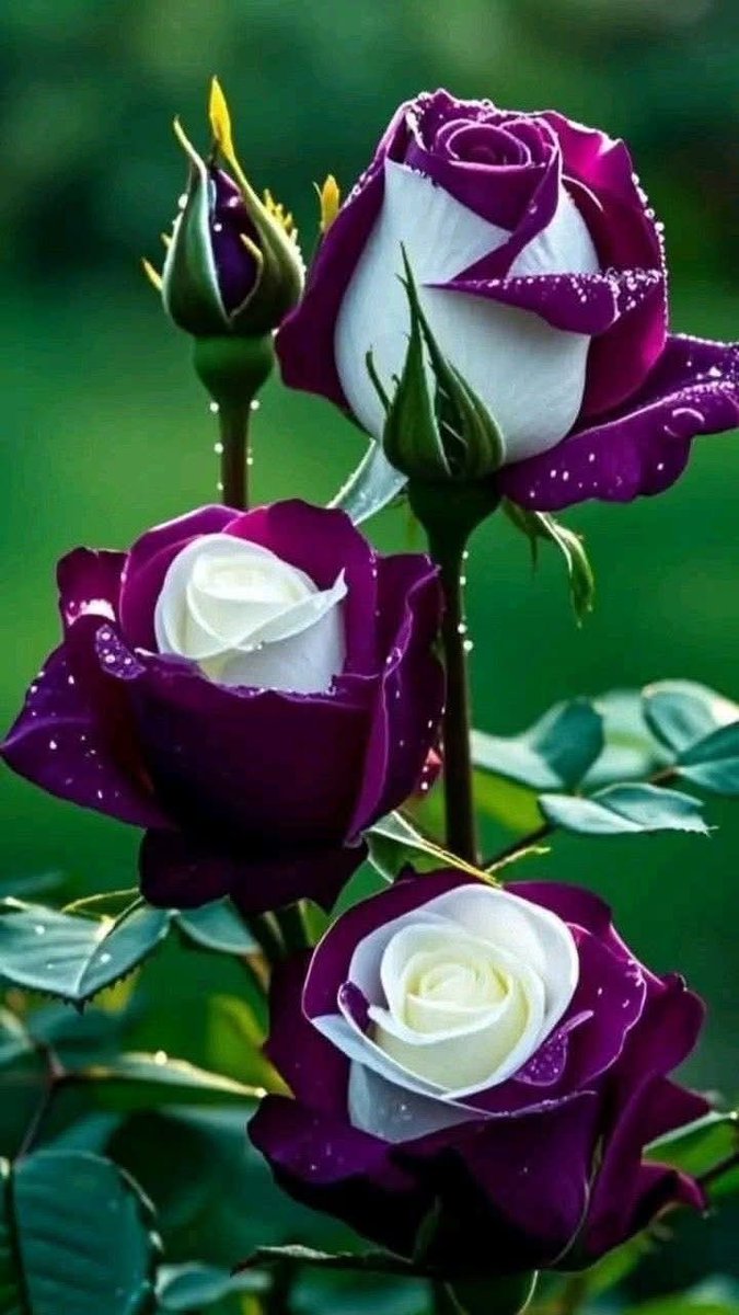 Ahmad Jan (@jann064) on Twitter photo <a href="/Tnr_6/">Hafiz Tanveer Ahmad 🌐Official</a> <a href="/0fozi_/">Fauzia</a> <a href="/frq04/">Muhammad Farooq Ahmad</a> <a href="/Rnapti/">SHAHID💚PK</a>
<a href="/Fk0_1/">Shahid (lover pti)</a> <a href="/s4566_/">(PTI)</a> <a href="/S111_9/">SHAHID MEHMOOD</a> <a href="/786F_/">Shahid</a>
<a href="/shz787/">🌟⭐️🌟🌟sʜᴀʜᴢᴀᴅ ᴍᴜɴɪʀ🌟⭐️🌟⭐️</a> <a href="/shZ447/">𝕊𝕙𝕒𝕙𝕫𝕒𝕕 𝕄𝕦𝕟𝕚𝕣</a> <a href="/58Yas_/">Muhammad Yaseen</a>
<a href="/Tzb_1/">تہذیب</a> <a href="/1Lvz0/">𝐿𝒶v𝑒𝑒𝓏𝒶_🍃</a> <a href="/FK_71/">Fãhêêmkhãn</a>
<a href="/1i2Ua/">🇦 🇭 🇲 🇪 🇩 🇷 🇮 🇦 🇿𝓲𝓹𝓲𝓪𝓷</a> <a href="/1i3Ua/">🇦 🇭 🇲 🇪 🇩</a>
<a href="/7Ambr/">Amber Baig</a>
<a href="/0MRK_/">Mahrukh Khan</a>
#PAK_PG
<a href="/frq05/">Farooq Ahmad</a>
<a href="/frq06/">Farooq</a>
<a href="/imrnv/">CH Imran</a> <a href="/imra0b/">Goat city Form</a> <a href="/TP7i1/">★☯𝑩𝒉𝒂𝒊༒〄</a>
<a href="/Khld36/">✍𝙆𝙝𝙖𝙡𝙞𝙙 𝙃𝙪𝙨𝙖𝙞𝙣✍⳼</a> <a href="/Frhn42/">★𝙁𝙧𝙝𝙖𝙣 𝘼𝙝𝙢𝙚𝙙★</a> <a href="/Trq88/">✍︎⸙𝐓αɾιϙ 𝐌υɾƚαȥα࿈</a>
<a href="/Triq25/">⤹𝙈𝙪𝙝𝙖𝙢𝙢𝙖𝙙 𝙏𝙖𝙧𝙞𝙦⤸</a> <a href="/Bla_Here/">🅰🅱🅳🆄🅻🅻🅰🅷𝓲𝓹𝓲𝓪𝓷</a> <a href="/Pti0_1/">Shahid</a>
<a href="/Jann064/">Ahmad Jan</a> <a href="/6Jan11/">jan</a> <a href="/_ah064/">Ahmad</a>
<a href="/frq_3/">farooq mughal</a> <a href="/_0zoi/">Zoya Hamid</a> <a href="/F7861_/">Rana Fahid</a> <a href="/P0_27/">SANA PTI</a> <a href="/Tnr_6/">Hafiz Tanveer Ahmad 🌐Official</a> <a href="/0fozi_/">Fauzia</a> <a href="/frq04/">Muhammad Farooq Ahmad</a> <a href="/Rnapti/">SHAHID💚PK</a>
<a href="/Fk0_1/">Shahid (lover pti)</a> <a href="/s4566_/">(PTI)</a> <a href="/S111_9/">SHAHID MEHMOOD</a> <a href="/786F_/">Shahid</a>
<a href="/shz787/">🌟⭐️🌟🌟sʜᴀʜᴢᴀᴅ ᴍᴜɴɪʀ🌟⭐️🌟⭐️</a> <a href="/shZ447/">𝕊𝕙𝕒𝕙𝕫𝕒𝕕 𝕄𝕦𝕟𝕚𝕣</a> <a href="/58Yas_/">Muhammad Yaseen</a>
<a href="/Tzb_1/">تہذیب</a> <a href="/1Lvz0/">𝐿𝒶v𝑒𝑒𝓏𝒶_🍃</a> <a href="/FK_71/">Fãhêêmkhãn</a>
<a href="/1i2Ua/">🇦 🇭 🇲 🇪 🇩 🇷 🇮 🇦 🇿𝓲𝓹𝓲𝓪𝓷</a> <a href="/1i3Ua/">🇦 🇭 🇲 🇪 🇩</a>
<a href="/7Ambr/">Amber Baig</a>
<a href="/0MRK_/">Mahrukh Khan</a>
#PAK_PG
<a href="/frq05/">Farooq Ahmad</a>
<a href="/frq06/">Farooq</a>
<a href="/imrnv/">CH Imran</a> <a href="/imra0b/">Goat city Form</a> <a href="/TP7i1/">★☯𝑩𝒉𝒂𝒊༒〄</a>
<a href="/Khld36/">✍𝙆𝙝𝙖𝙡𝙞𝙙 𝙃𝙪𝙨𝙖𝙞𝙣✍⳼</a> <a href="/Frhn42/">★𝙁𝙧𝙝𝙖𝙣 𝘼𝙝𝙢𝙚𝙙★</a> <a href="/Trq88/">✍︎⸙𝐓αɾιϙ 𝐌υɾƚαȥα࿈</a>
<a href="/Triq25/">⤹𝙈𝙪𝙝𝙖𝙢𝙢𝙖𝙙 𝙏𝙖𝙧𝙞𝙦⤸</a> <a href="/Bla_Here/">🅰🅱🅳🆄🅻🅻🅰🅷𝓲𝓹𝓲𝓪𝓷</a> <a href="/Pti0_1/">Shahid</a>
<a href="/Jann064/">Ahmad Jan</a> <a href="/6Jan11/">jan</a> <a href="/_ah064/">Ahmad</a>
<a href="/frq_3/">farooq mughal</a> <a href="/_0zoi/">Zoya Hamid</a> <a href="/F7861_/">Rana Fahid</a> <a href="/P0_27/">SANA PTI</a>
