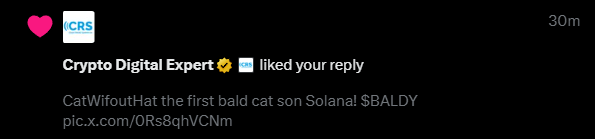 ZqnixX's tweet photo. @cryptodgexpert liked our Post about $BALDY it means something?! 🚀🚀9oistRCUaKVarrCGxJ8awidXfyi3Zr8N5dWJFreso1j7 https://t.co/bykC8MBe3e