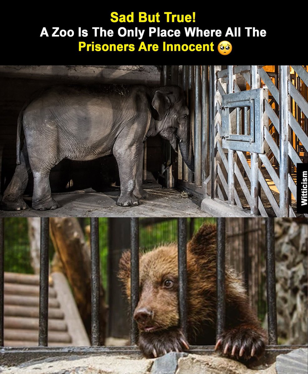 FuckForForest.org - Official 🔞 (@ffftribe) on Twitter photo 