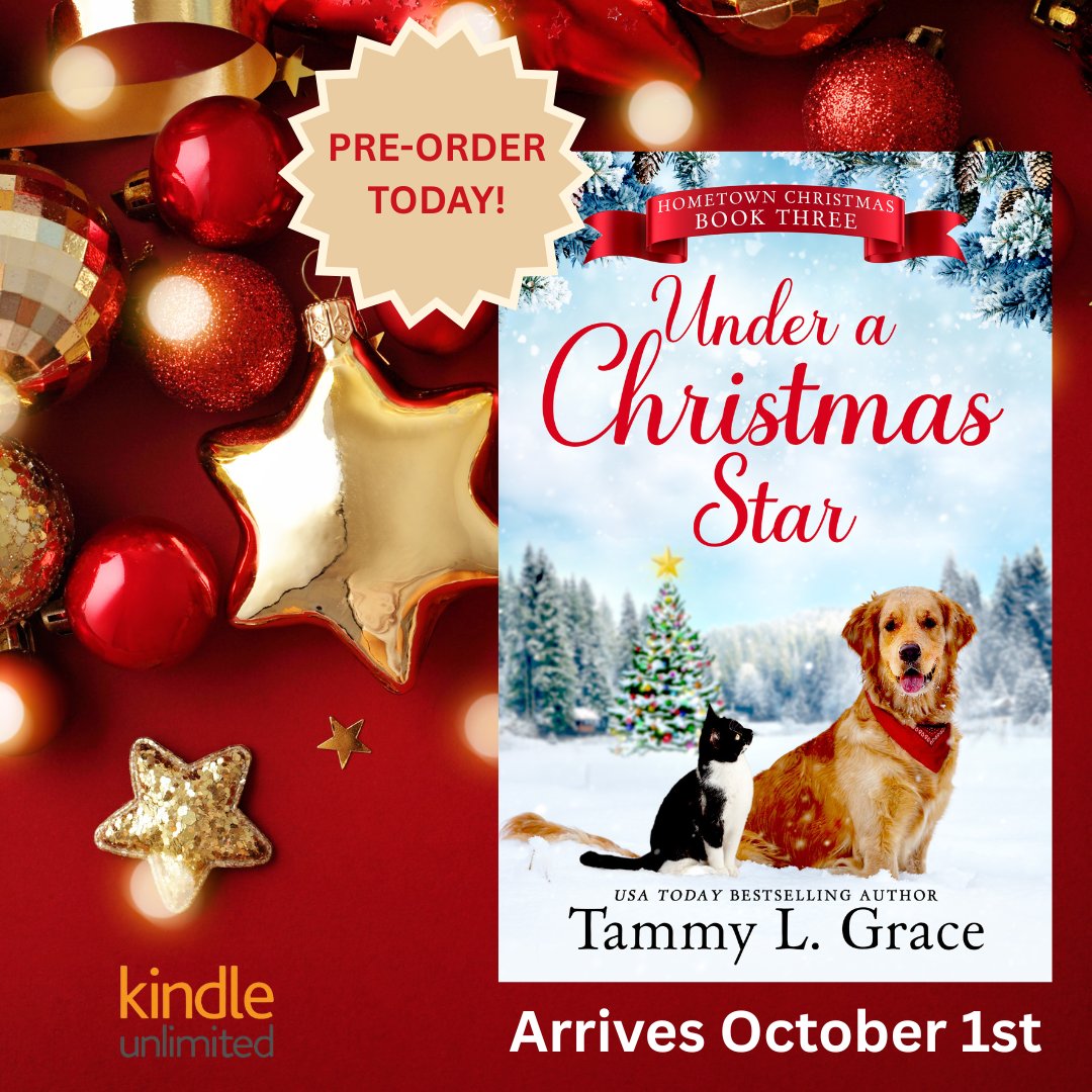 Christmas comes early this year. My latest book arrives on October 1st and is the third book in this series. Preorder it now here: amazon.com/dp/B0FJTTYLRN
Here's more about it:
Return to Snow Valley this Christmas where amid the snow and festive lights, hope shines brightest.