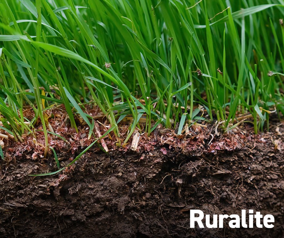 Grass lawns are the default for most yards, but some people prefer alternatives, such as ornamental landscaping, low-maintenance groundcovers or pollinator-welcoming spaces. Uproot grass before switching to another option. Say goodbye to your lawn: ruralite.com/say-goodbye-to….