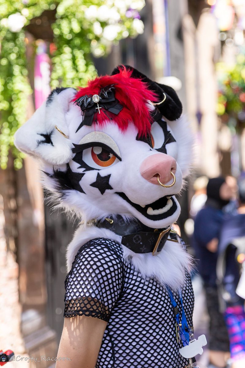 Borrowing a friend’s suit is always so much fun 🤩 Can’t wait for the day I’ll get my own

Thank you <a href="/KuraiKaijuu/">Kaiju</a>
📸<a href="/Crofty_Raccoon/">crofty_raccoon</a> 

#FursuitFridays #Furry