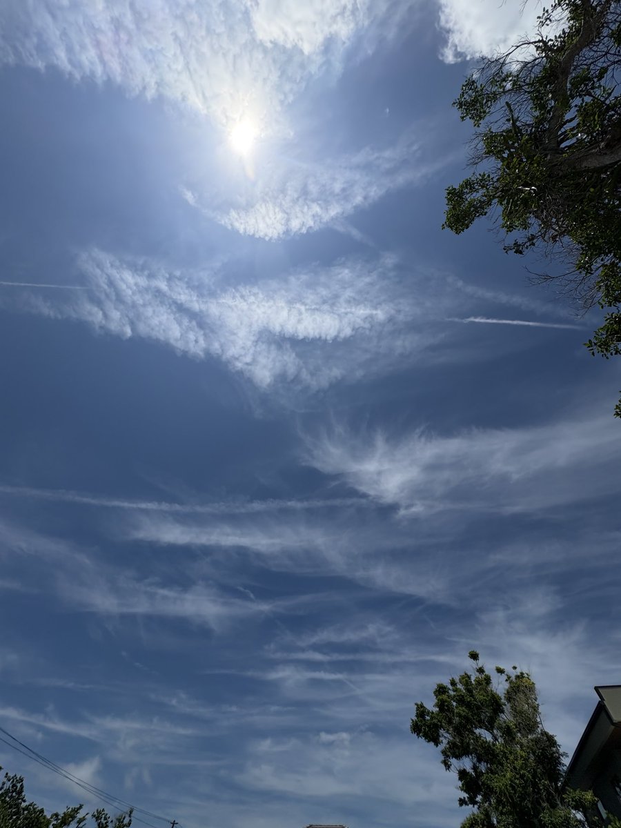 Everything you see was dumped by a jet.  Florida is under attack!!! 😡☠️