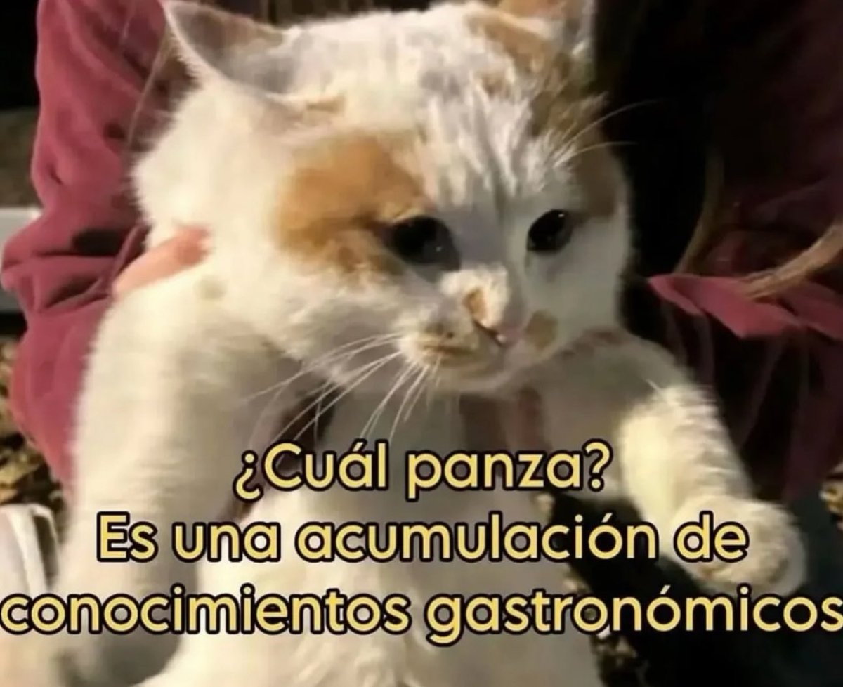 piña sin pizza tweet media