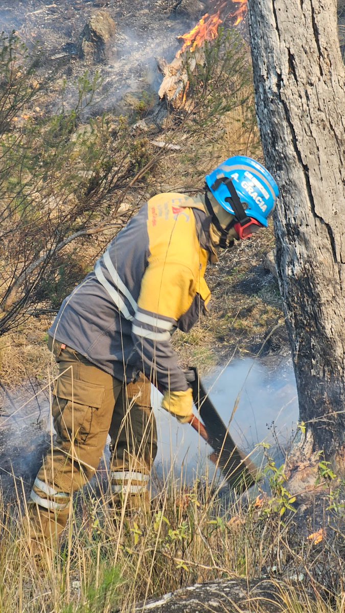 gobdecordoba's tweet photo. En el lugar trabajan bomberos voluntarios de #PotrerodeGaray, #SanClemente, #VillaCiudaddeAmérica, #LosReartes, #VillaBerna, #VillaGeneralBelgrano, #Yacanto, #Despeñaderos, #VillaAmancay, #VilladelDique y #VillaRumipal.
Asimismo, cuentan con el apoyo del personal de la #ETAC de la base de #Yacanto y de #LaRancherita, del Plan Provincial de Manejo del Fuego y cuatro aviones hidrantes, dos del Plan Nacional de Manejo del Fuego y dos de la Provincia.🛩️🧑🚒
Todos los esfuerzos están puestos en combatir las llamas para que no alcancen a las viviendas que se encuentran en la zona.
🏡
#Incendios