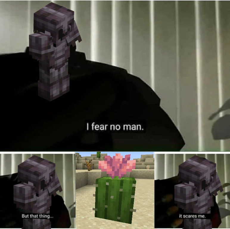 MinecraftMeme16 tweet picture