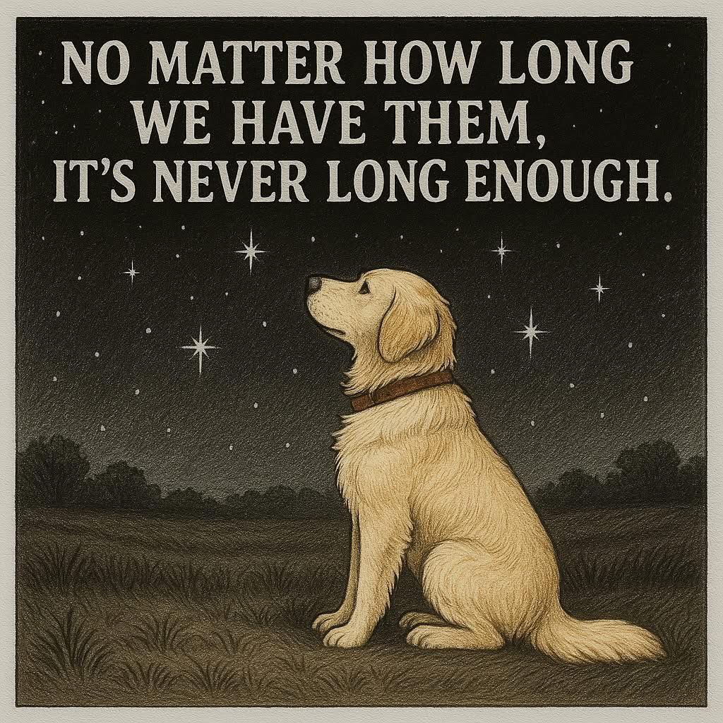 DogLovers03's tweet photo. https://t.co/MLN1oGN1YX