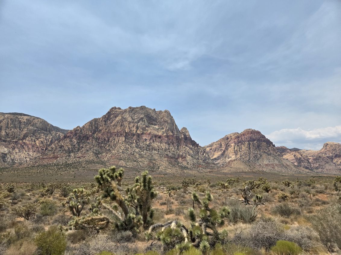 Scorpion night hikes offered at Red Rock Canyon 
Source: Fox5 KVVU
share.newsbreak.com/ebrrn2wcForeca….

Red Rock Canyon is 30 min. away from us.
Did you know you can go on a "Scorpion Hunt" at nite there? HA!

PS  There is a waiting list to get on this
Scorpion Hunt.

Yinzers In The Desert