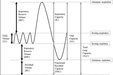 SleepyExperts's tweet photo. Lung Volume Change Under Apnoeic Oxygenation With Different Flow Rates in Children

https://t.co/wCrqKQJxTF

#anesthesia #anesthesiology #lung #volume #change #oxygenation #flowrate #children https://t.co/tyXr7fwtWy