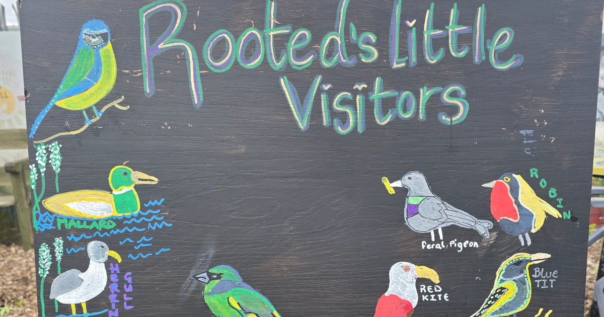Rooted in Sunshine is our women's group that meet regularly on a Thursday from 10 am. The women have been working on this piece of art that documents which bird species are pottering around us whilst we work! Available to come and see in our community gallery.