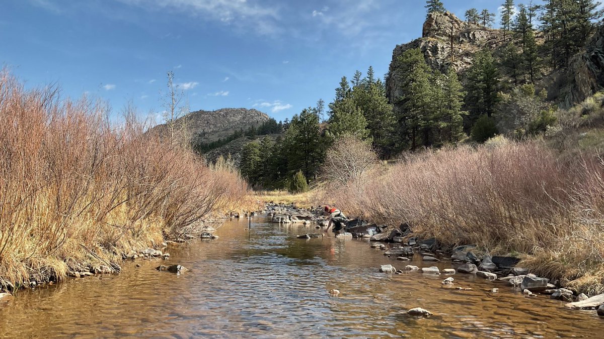 🧪 Recently, we submitted water quality testing and modeling results to the State of Colorado as part of the Halligan project’s 401 Water Quality Certification application. 

Public comment on the application is open for 30 days starting Aug. 1. Visit cdphe.colorado.gov/wq-hwsp-401.