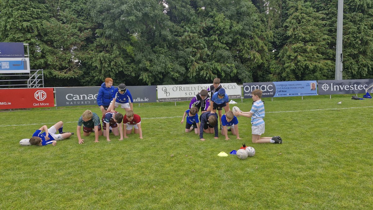 Wicklow CCRO.Leinsterrugby tweet media