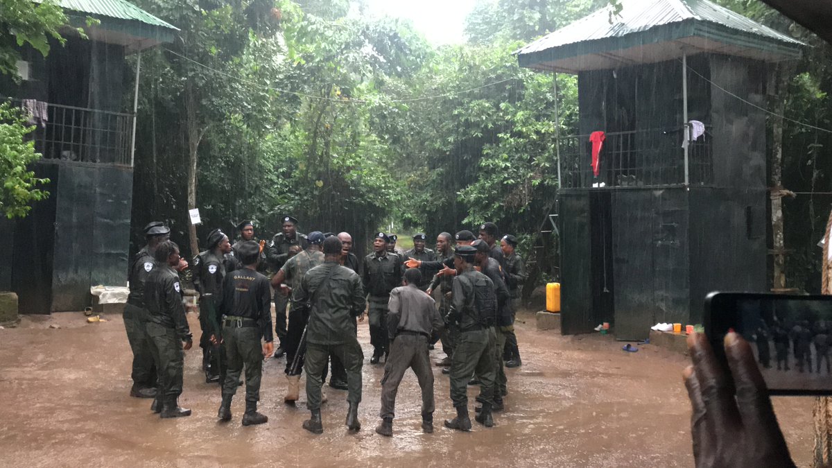 SW/Niger Delta Forest Project tweet media