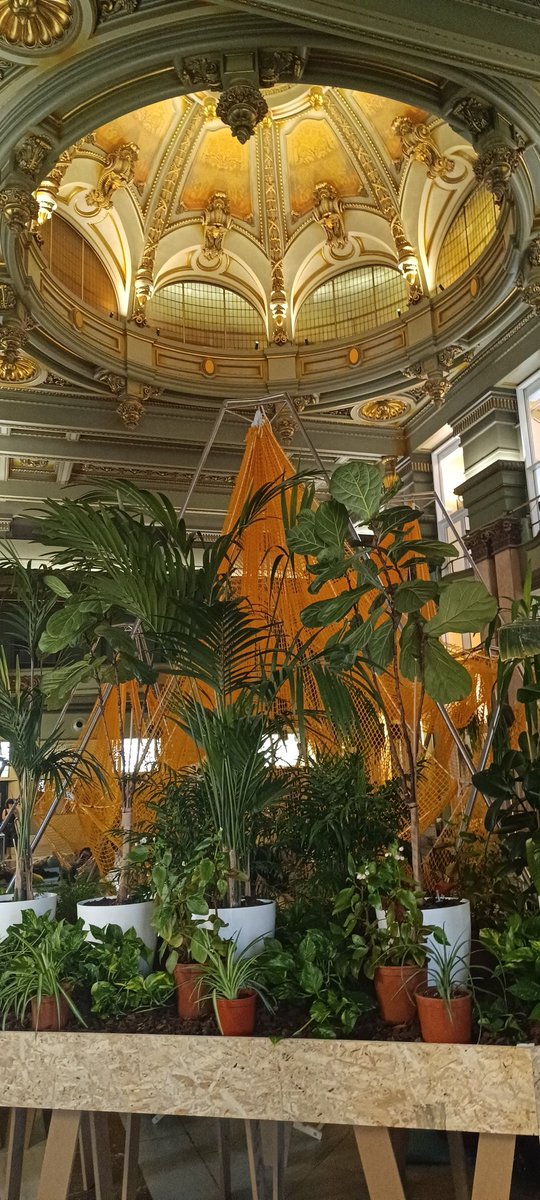 Si estáis en Madrid, el Círculo de Bellas Artes ha abierto este año también el refugio climático, un sitio fresco y lleno de plantas en el que cualquiera puede estar gratis y hay sitios para leer, libros, juegos de mesa, mesas amplias y hasta hamacas. A mí me flipa