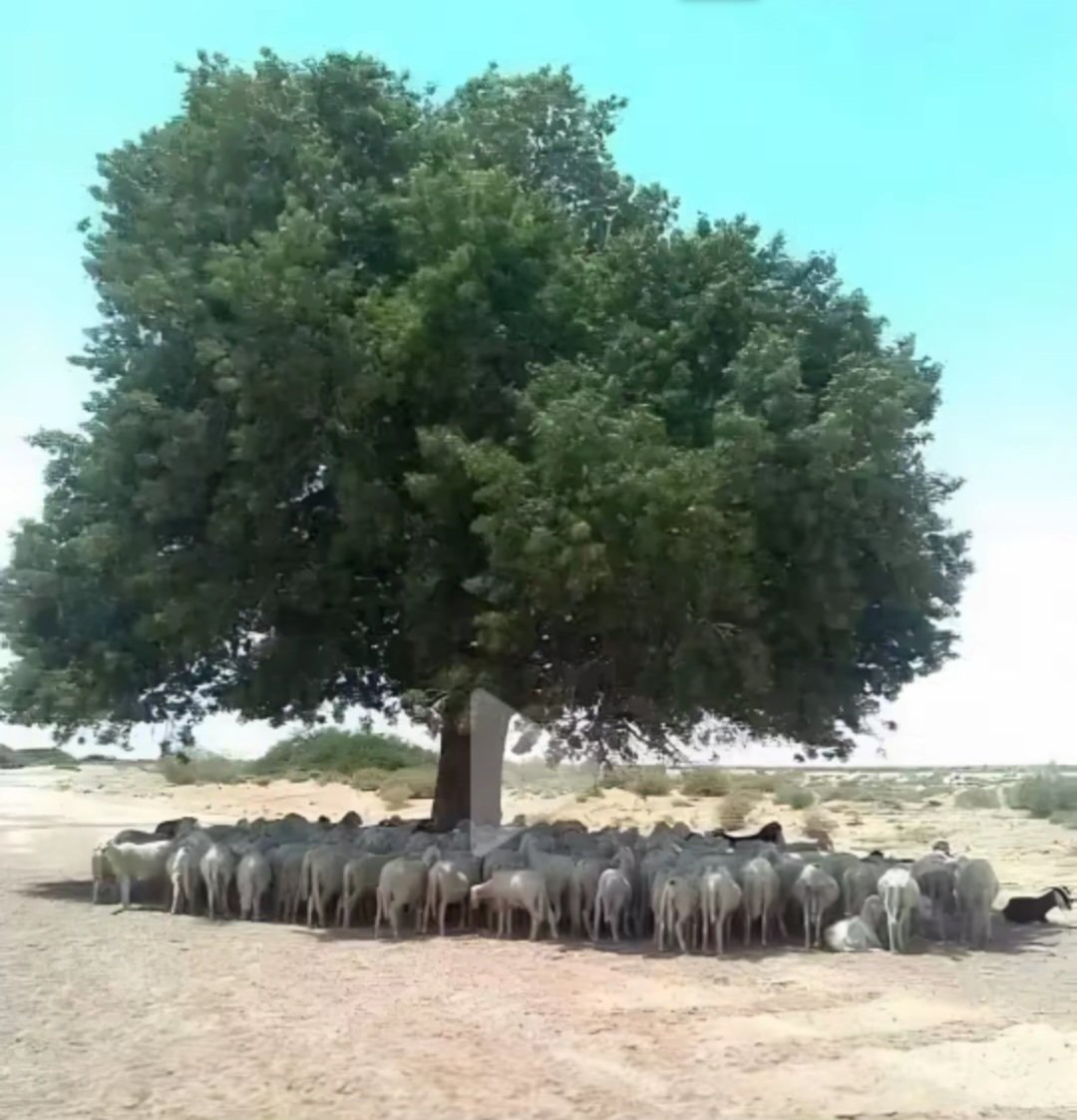 Bir kare çok şey anlatır.