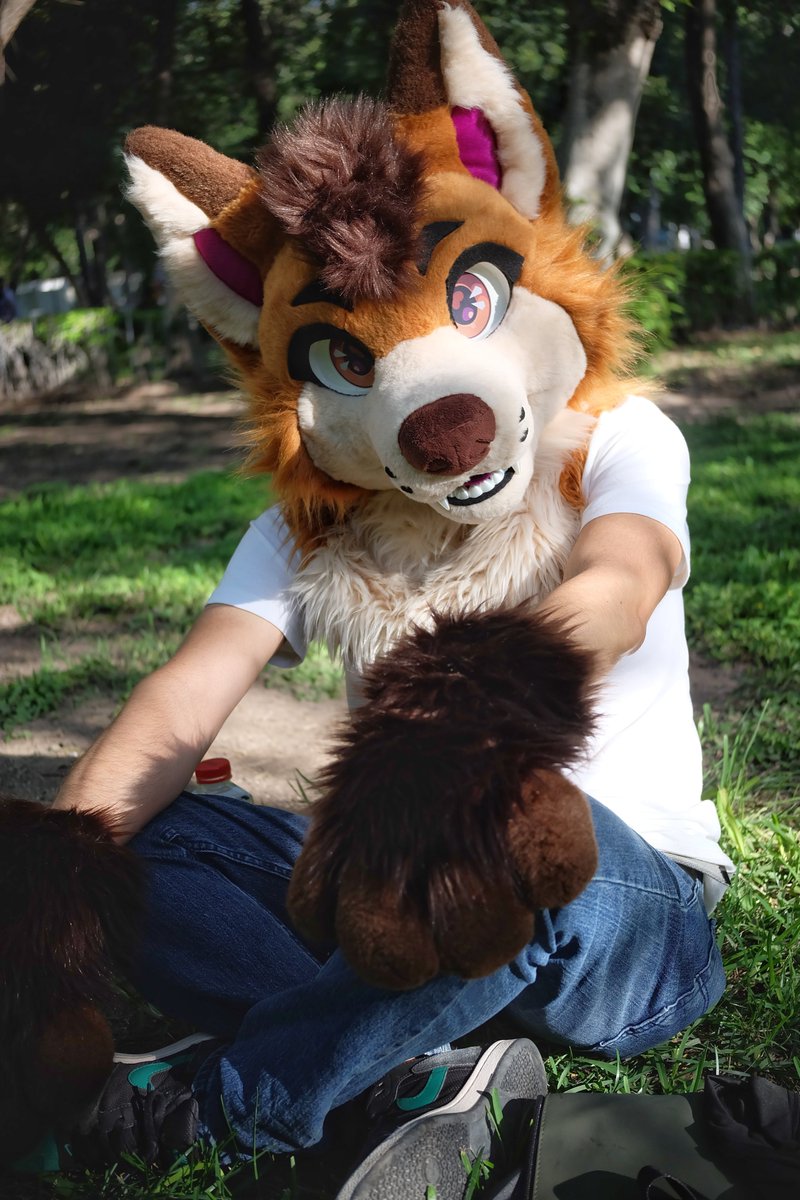 So, how's your day going?
📷 <a href="/huskiehooch/">Ｈｏｏｃｈ🐾</a>
#FursuitsFriday