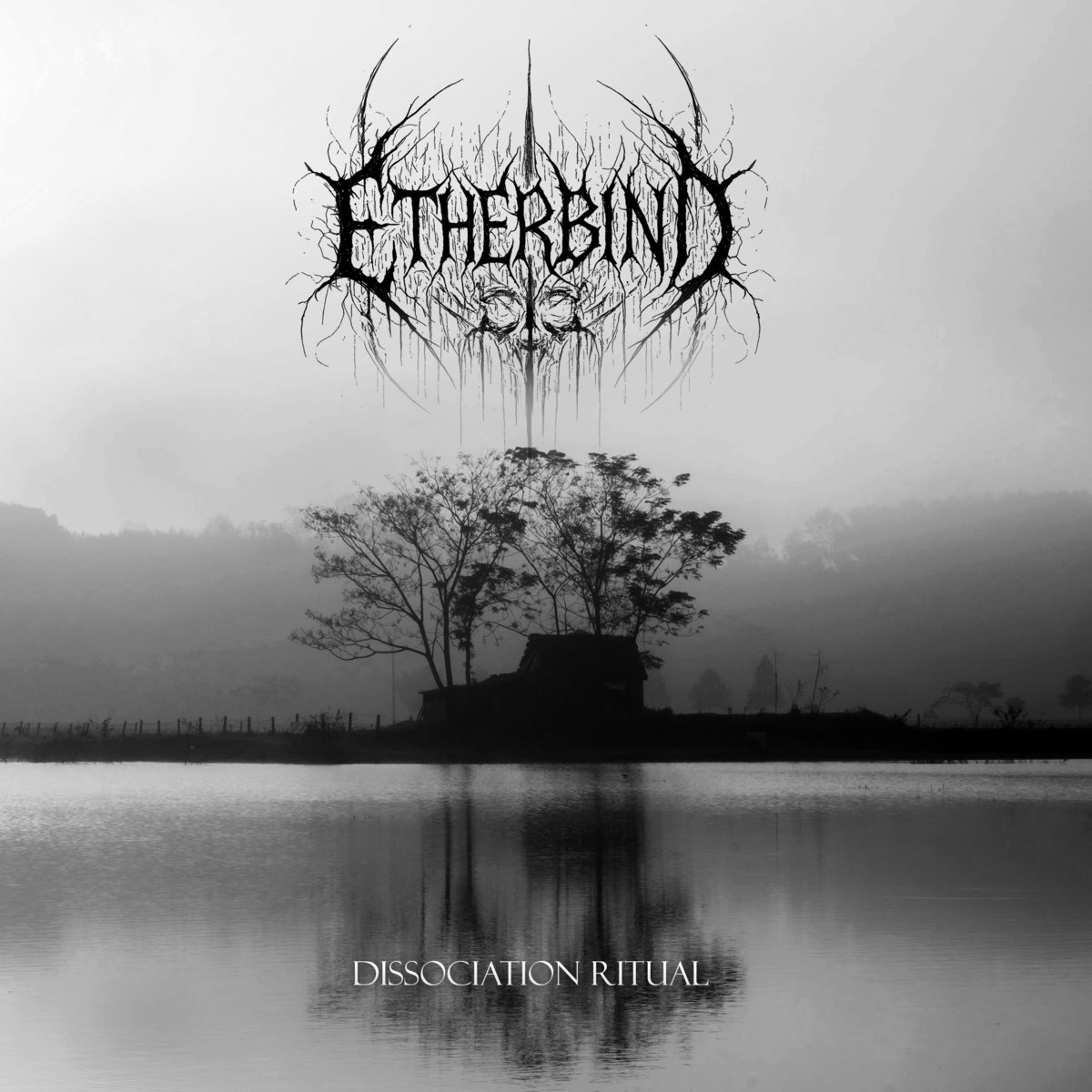 🇨🇴Etherbind-Dissociation Ritual.2025.
Maravilloso 1er Lp de esta banda colombiana que nos deslumbra o mejor dicho nos envía a la penumbra,con este fantástico y violento Lp de Depressive #BlackMetal.OneManBand de Arioch Black,con 6 temas para enmarcar🕯️😈
🎧etherbind.bandcamp.com/album/dissocia…