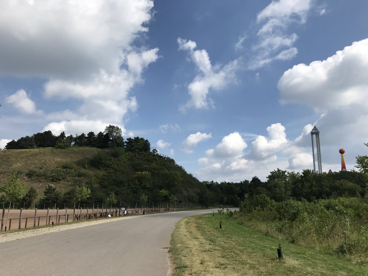 Canardiain tweet media