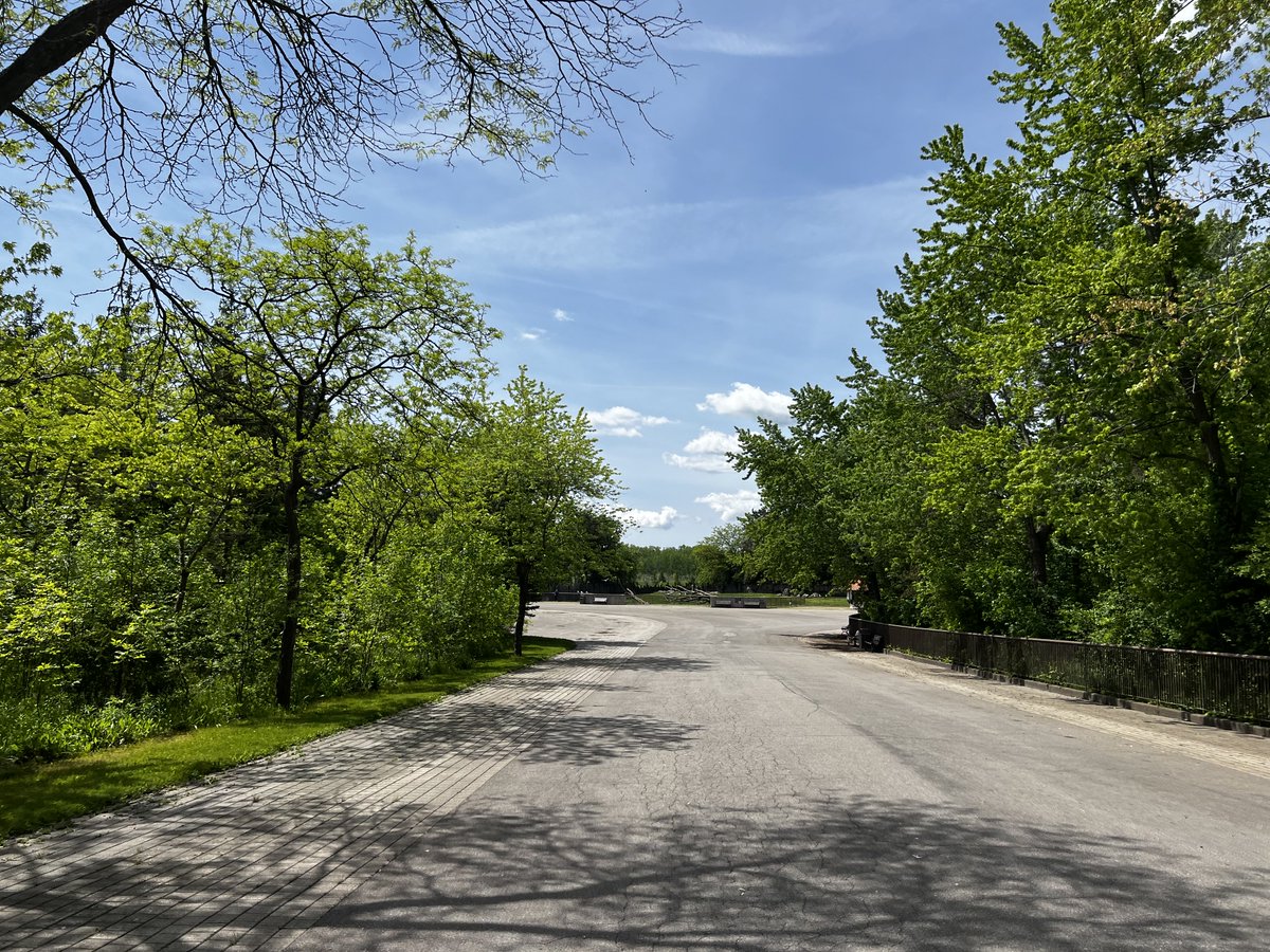 Canardiain tweet media