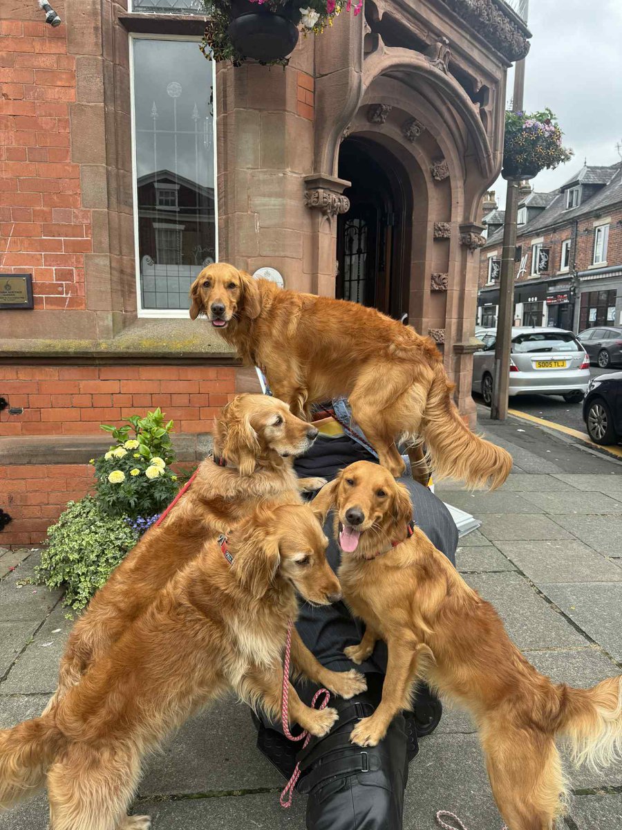 Mandy Sellars (@mandysellars36) on Twitter photo When you meet up with a friend who has 4 gorgeous golden retrievers π& itβs photo shoot time! I am in the second photo honestly πΎππ€£<a href="/Sandy_Childs13/">Sandy Childs</a> When you meet up with a friend who has 4 gorgeous golden retrievers π& itβs photo shoot time! I am in the second photo honestly πΎππ€£<a href="/Sandy_Childs13/">Sandy Childs</a>