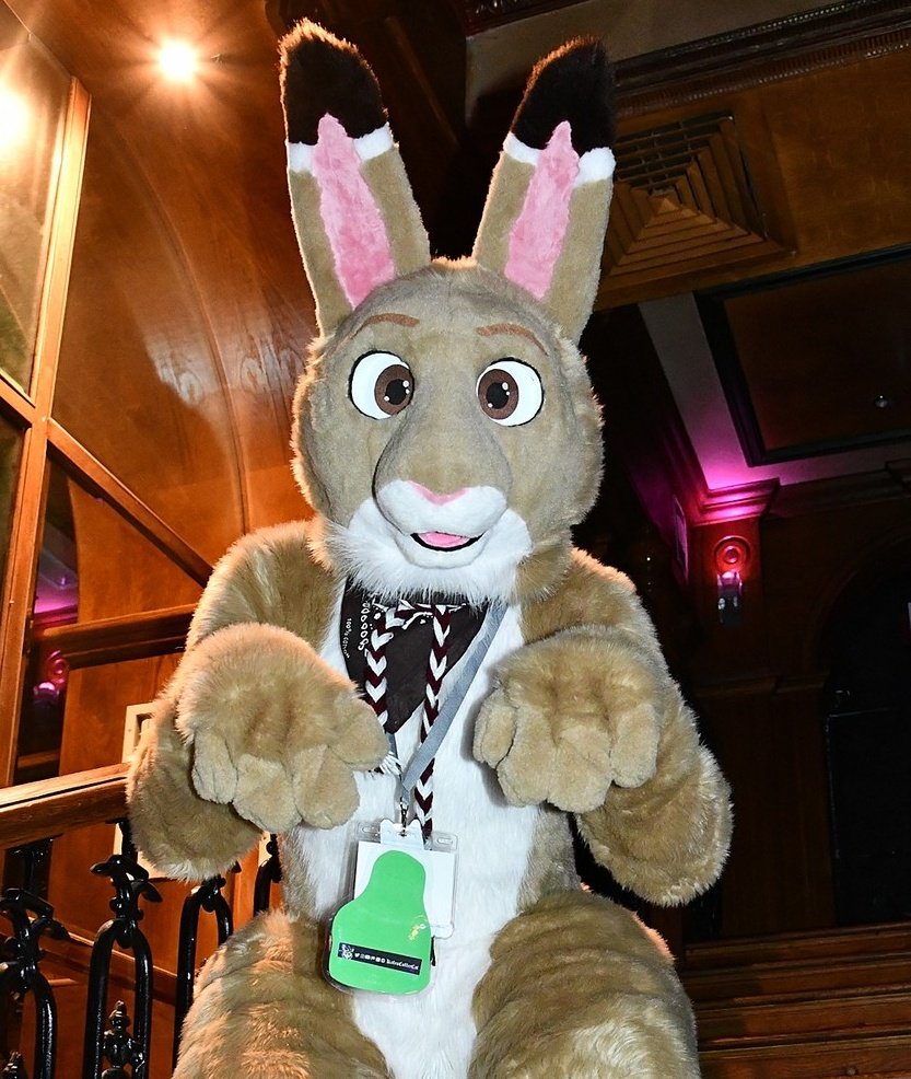 Jarlath βοΈ π CFz 2025 (@jarlathhare) on Twitter photo Dissertation submitted so I think it's safe to say the Master's is finally finished!! ππ»πππΎ #FursuitFriday
π§΅: <a href="/CassiusRed/">Cassius Crafts</a>
π·: DaIrishGoat Dissertation submitted so I think it's safe to say the Master's is finally finished!! ππ»πππΎ #FursuitFriday
π§΅: <a href="/CassiusRed/">Cassius Crafts</a>
π·: DaIrishGoat