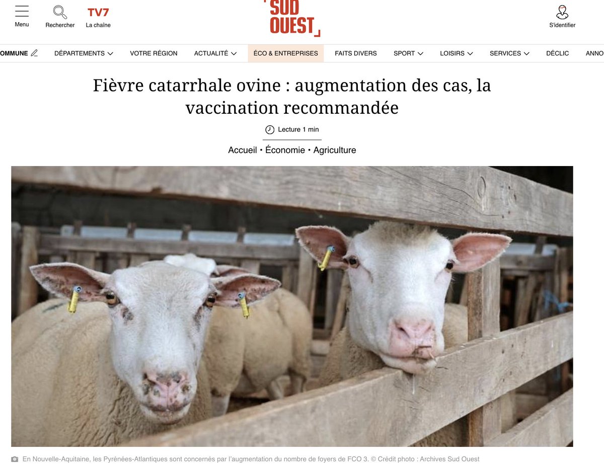 Après les boeufs, les moutons❗️
Au moment même où j'alertais LES ÉLEVEURS DU MONDE ENTIER sur ces "coïncidences" de demandes de vacciner/abattre les bétails, mon compte est piraté.

HELP🙏SVP🙏:ALLEZ À LEUR RENCONTRE 
+soyez VIGILANTS sur ces milliers de liens issus de mon compte