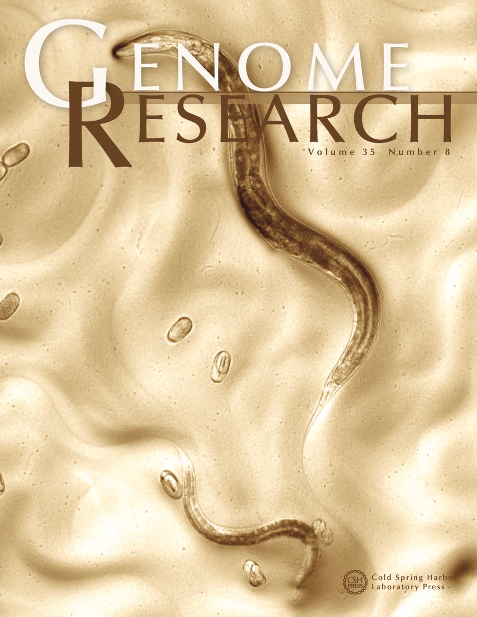 Genome Research (@genomeresearch) on Twitter photo The new issue of <a href="/genomeresearch/">Genome Research</a> is now live. Follow the link to new research on oxygen stress and gene regulation in the brain, a new C. elegans reference genome, and more! tinyurl.com/Genome-Res-35-8 The new issue of <a href="/genomeresearch/">Genome Research</a> is now live. Follow the link to new research on oxygen stress and gene regulation in the brain, a new C. elegans reference genome, and more! tinyurl.com/Genome-Res-35-8