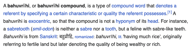 "zkVM" is a bahuvrihi compound