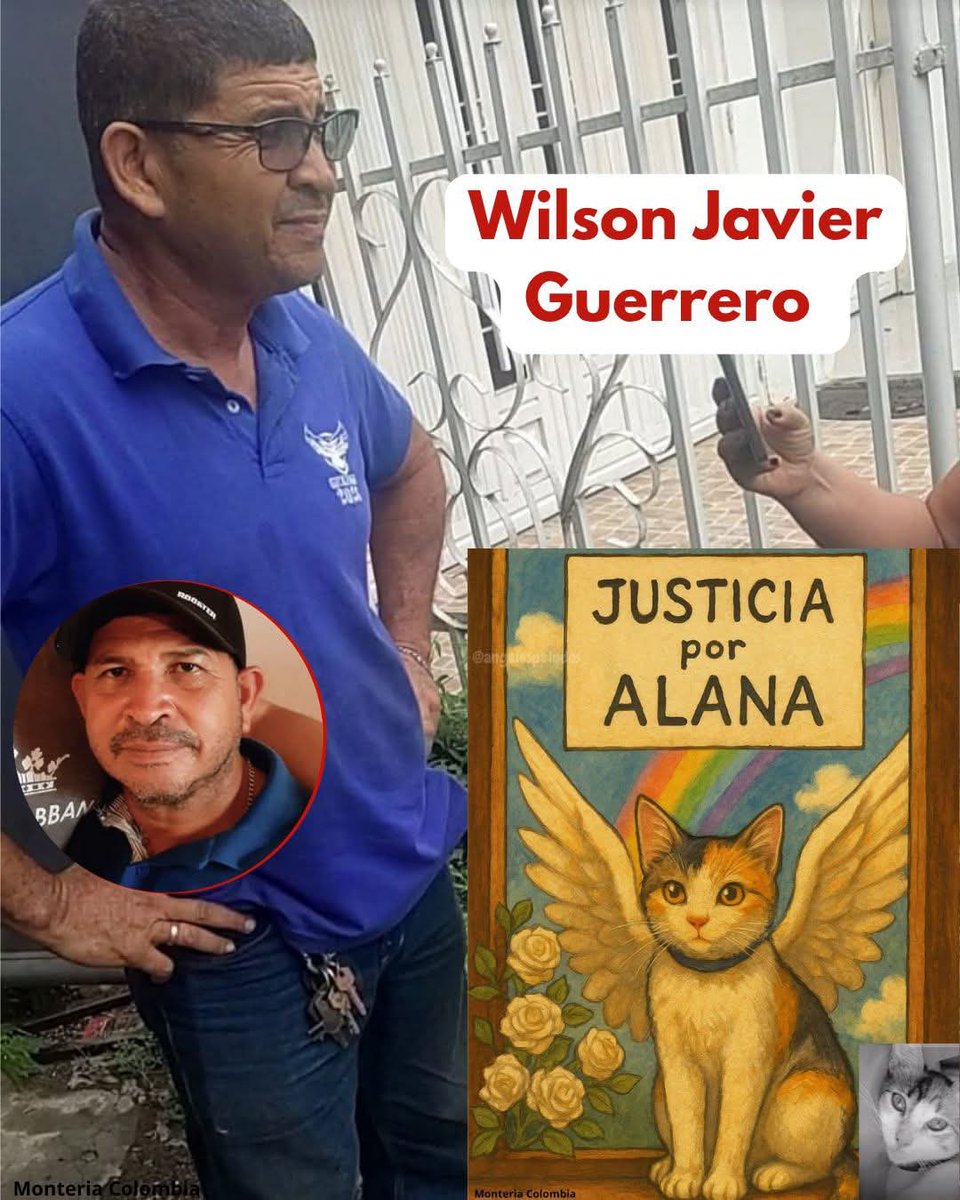 Camilo Machado (@camimachado10_) on Twitter photo Que todos conozcan al mounstro que asesinó a varillazos a Alana una gatita que recién empezaba a vivir.
¡Exigimos que la <a href="/FiscaliaCol/">Fiscalía Colombia</a> y autoridades judiciales como mínimo manden a la cárcel a este hp! #JusticiaParaAlana #LeyÁngelYA Que todos conozcan al mounstro que asesinó a varillazos a Alana una gatita que recién empezaba a vivir.
¡Exigimos que la <a href="/FiscaliaCol/">Fiscalía Colombia</a> y autoridades judiciales como mínimo manden a la cárcel a este hp! #JusticiaParaAlana #LeyÁngelYA