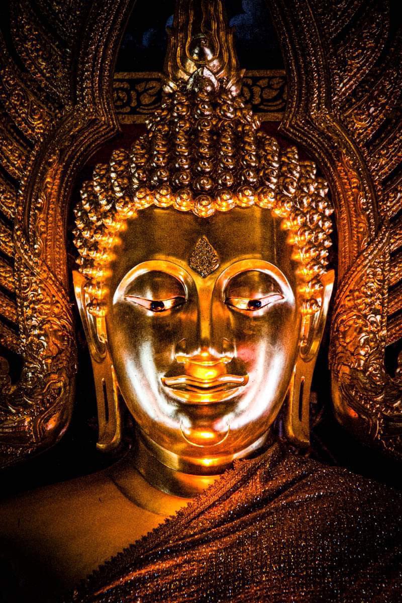 "We can never obtain peace in the outer world until we make peace with ourselves."