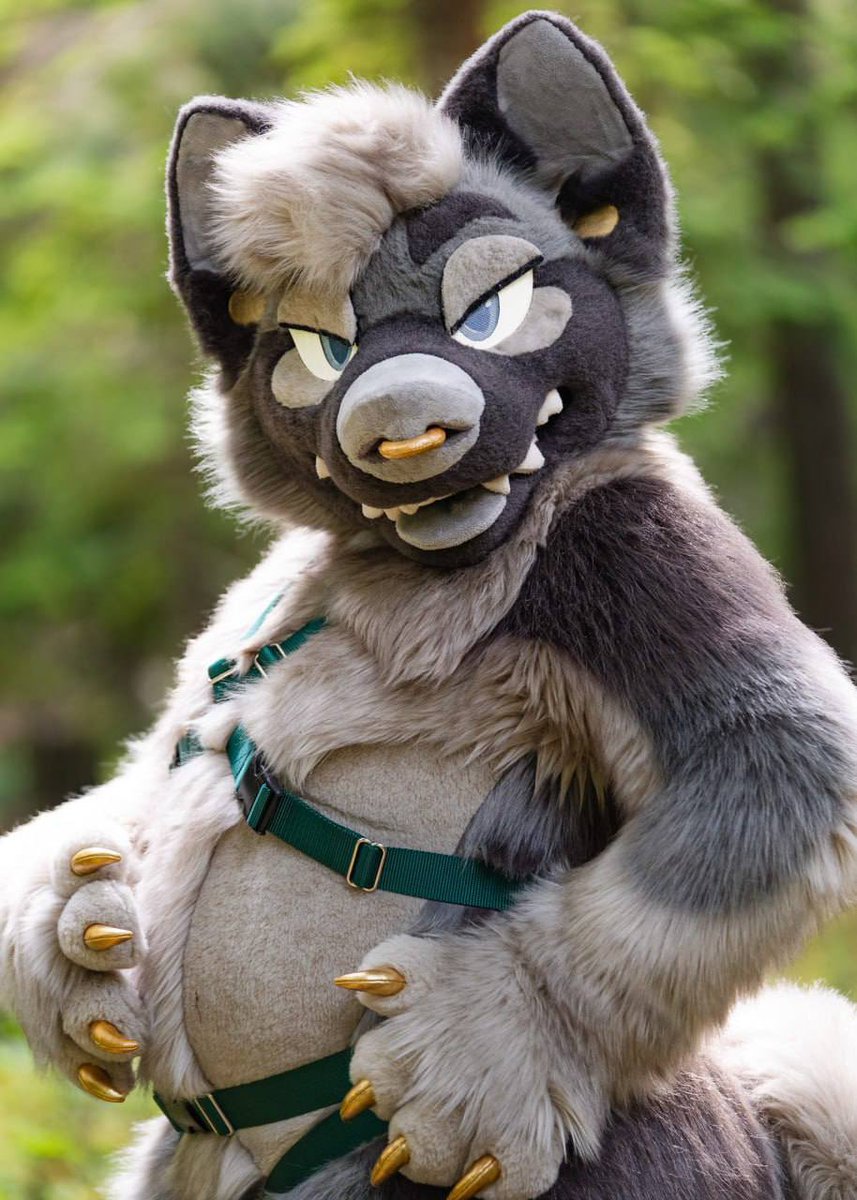 TABBY π FWA (@cuppatabby) on Twitter photo This harness doesnβt fit like it used to. Luckily I have the weekend off from being a sled dog because itβs #FursuitFriday!!!
πΈ: <a href="/sabletide/">stark π</a>
π: <a href="/deerinahat/">Jay π¦</a> (head), <a href="/fenivira/">Bite Me Fursuits</a> (body), @opalmutt (paws) This harness doesnβt fit like it used to. Luckily I have the weekend off from being a sled dog because itβs #FursuitFriday!!!
πΈ: <a href="/sabletide/">stark π</a>
π: <a href="/deerinahat/">Jay π¦</a> (head), <a href="/fenivira/">Bite Me Fursuits</a> (body), @opalmutt (paws)