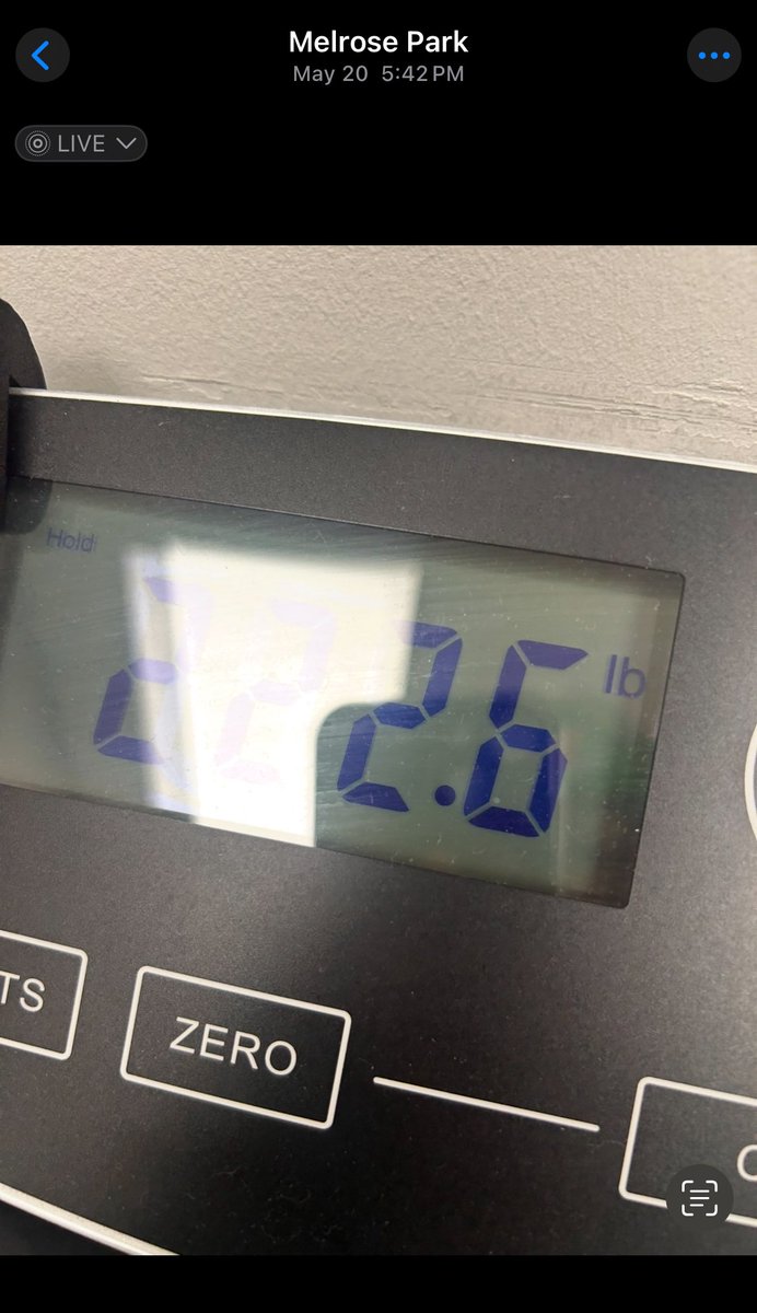 jaycvisualz's tweet image. down 23 lbs in 3 months 🫶🏽