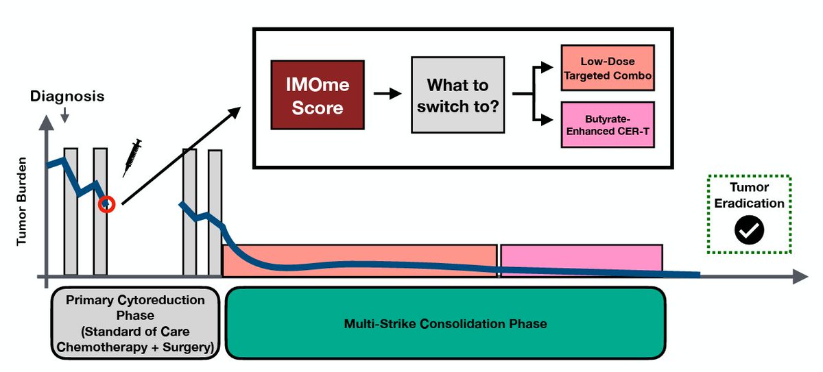 Maximilian Strobl tweet media