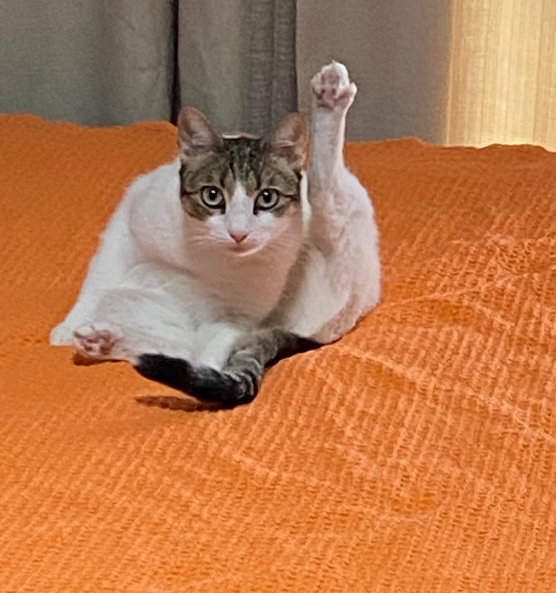 selam olsun bizimkilere.🤣🤣