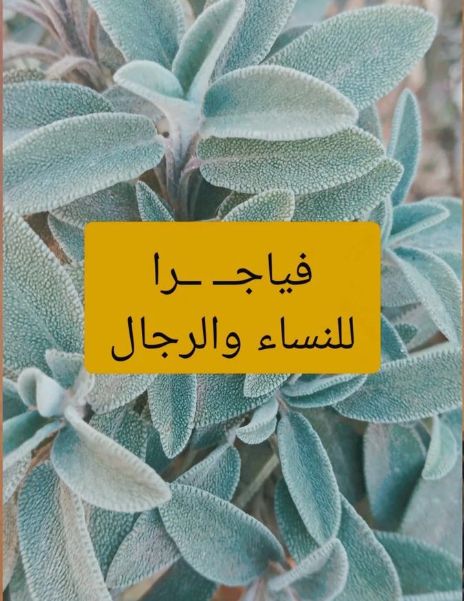 🚨 هل سمعت عن “الفيـاجرا الطبيعية” للرجال والنساء؟
نبات واحد فقط 🔥 يقضي على البرود الجنسي عند النساء والضعف عند الرجال!
فوائده مذهلة وطريقة استعماله سهلة، لكن احذر ⚠️ له تحذير مهم.
تابع السرد لتعرف كل شيء 👇👇