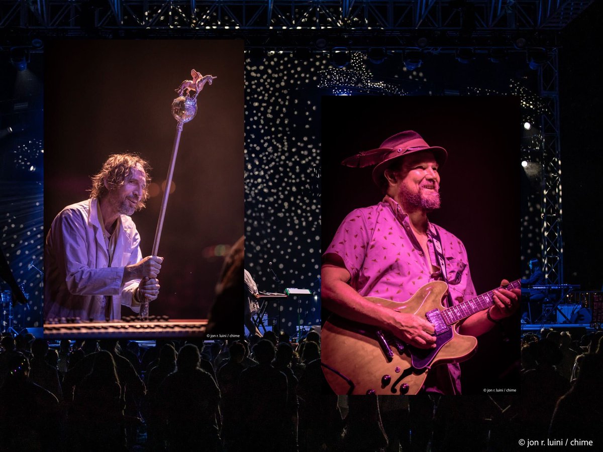 chime interactive tweet media