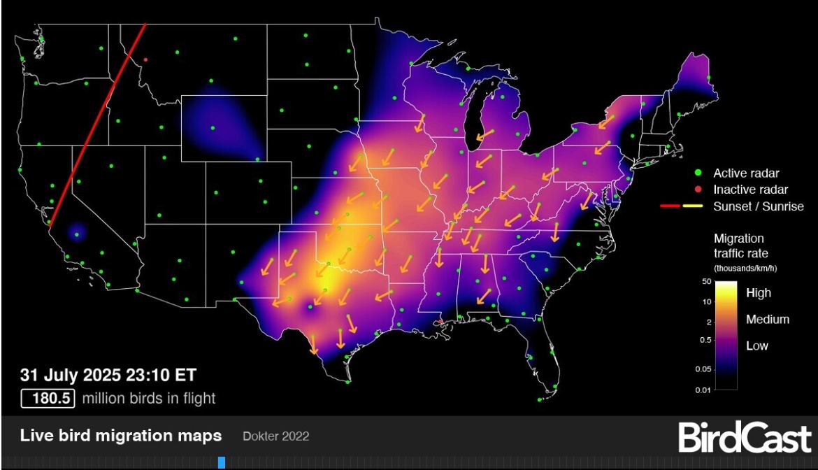 CountyAgAgent's tweet image. Do my eyes deceive me? During the heaviest U.S. bird migration traffic overnight, ND shows none? It won't last. This is why vigilance is key. Safe weekend everyone.