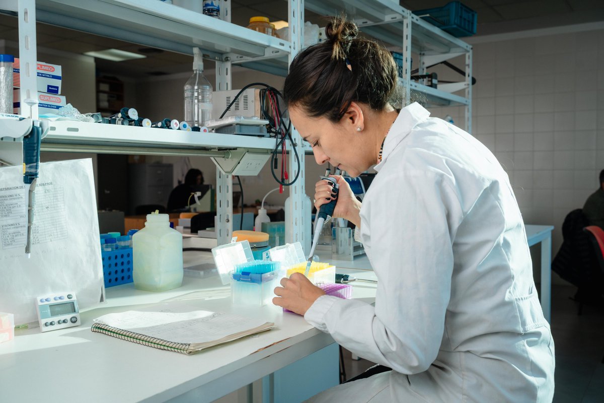 🔵Premio Estímulo de la Fundación Bunge y Born 2025 a la investigadora María Laura Mascotti

La científica se desempeña en el campo de la bioquímica evolutiva. 

Nota completa👉 mendoza.conicet.gov.ar/premio-estimul…