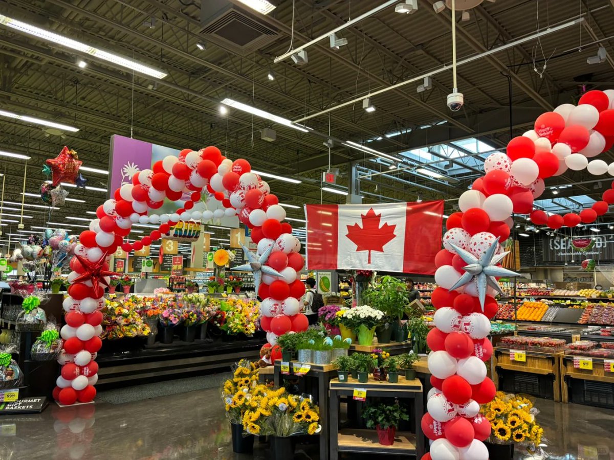 rehanawit61's tweet image. Floral arches and festive vibes! Happy to be here! 🌼❤️ #CanadianSpirit