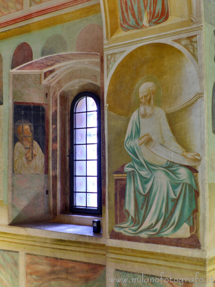 Enrico Engelmann (@milanofotografo) on Twitter photo Castiglione Olona (#Varese #Italy): Window in the right wall of the baptistery of the Collegiate Church of Saints Stephen and Lawrence. Exif, full size img: milanofotografo.it/englishFotogra…
More about: milanofotografo.it/englishSvagoCu… #renaissance #rinascimento <a href="/LaCollegiata/">Museo della Collegiata</a> <a href="/BrandaCast/">Museo Branda Castiglioni</a> Castiglione Olona (#Varese #Italy): Window in the right wall of the baptistery of the Collegiate Church of Saints Stephen and Lawrence. Exif, full size img: milanofotografo.it/englishFotogra…
More about: milanofotografo.it/englishSvagoCu… #renaissance #rinascimento <a href="/LaCollegiata/">Museo della Collegiata</a> <a href="/BrandaCast/">Museo Branda Castiglioni</a>