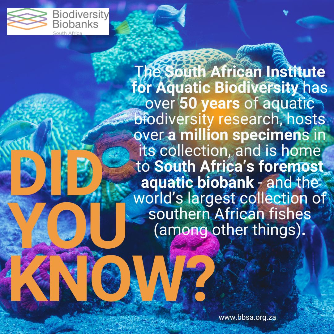 Biodiversity Biobanks South Africa tweet media