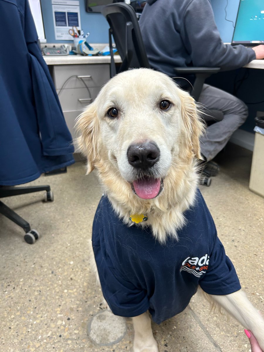 SpaRetailer tweet media