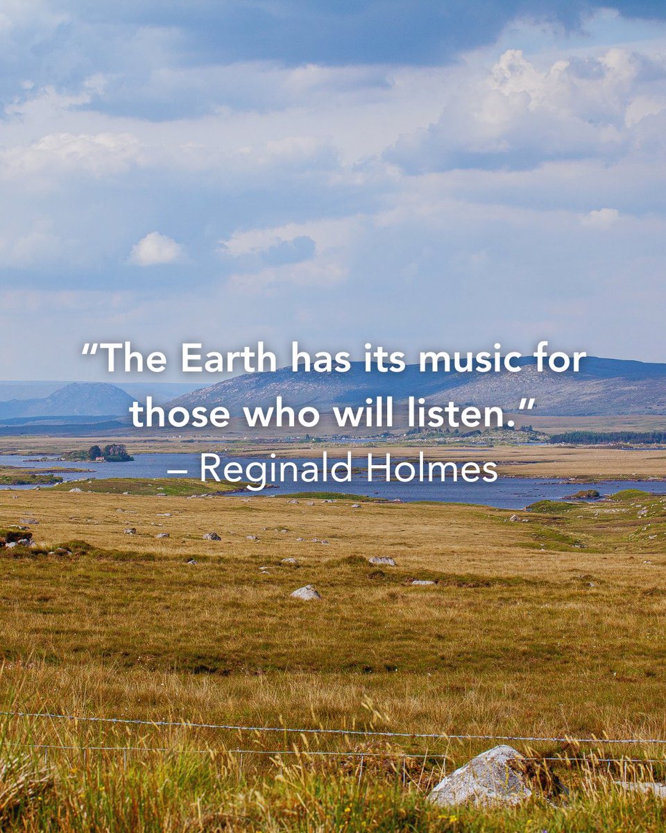 Take a moment to tune into the landscape around you. Just slow down and listen. 🌱