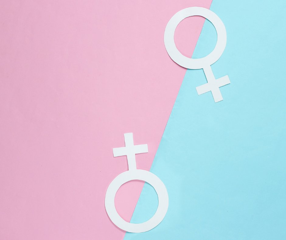 SD Family Voice tweet media