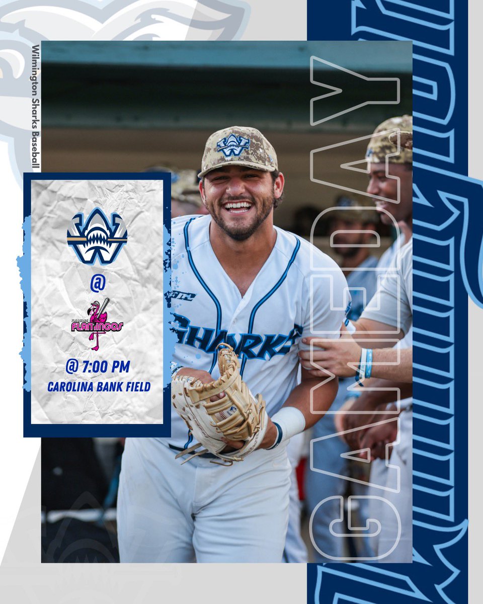 Wilmington Sharks tweet media