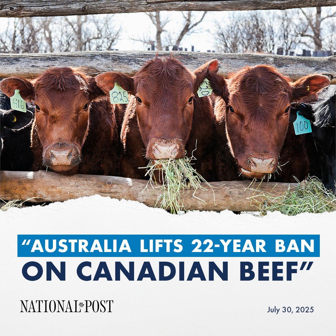 ICYMI: Big news for Alberta’s beef producers! 🇦🇺🥩 Australia has officially lifted its 22-year ban on Canadian beef — opening doors for new trade and showcasing the world-class quality of our beef. Another win for Alberta agriculture!