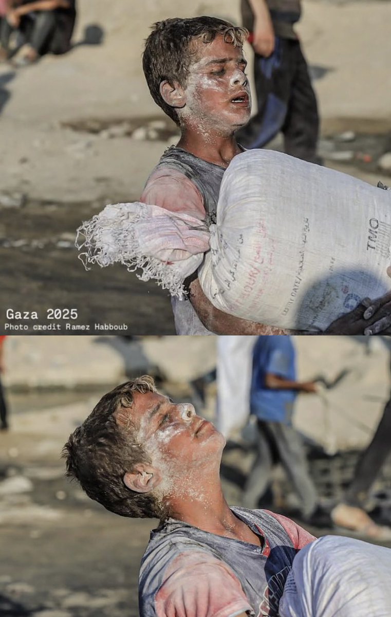 Taşıdığı sadece un değil.
Zulmün, yoksulluğun, direnişin
ve hepimizin utanç yükünü sırtlıyor.
Ama yine de asaletiyle, vakarıyla yürüyor..

Canım kardeşim benim.
Bir gün #Gazze özgür olduğunda,
gelip ellerinizi öpeceğim. 
Öpüp af dileyeceğim.