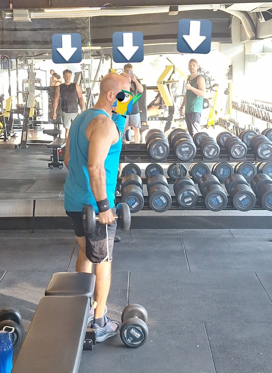 Nutricionista Thomas Proença (Broly) tweet media